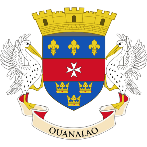 Saint Barthelemy flag