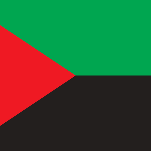 Martinique flag