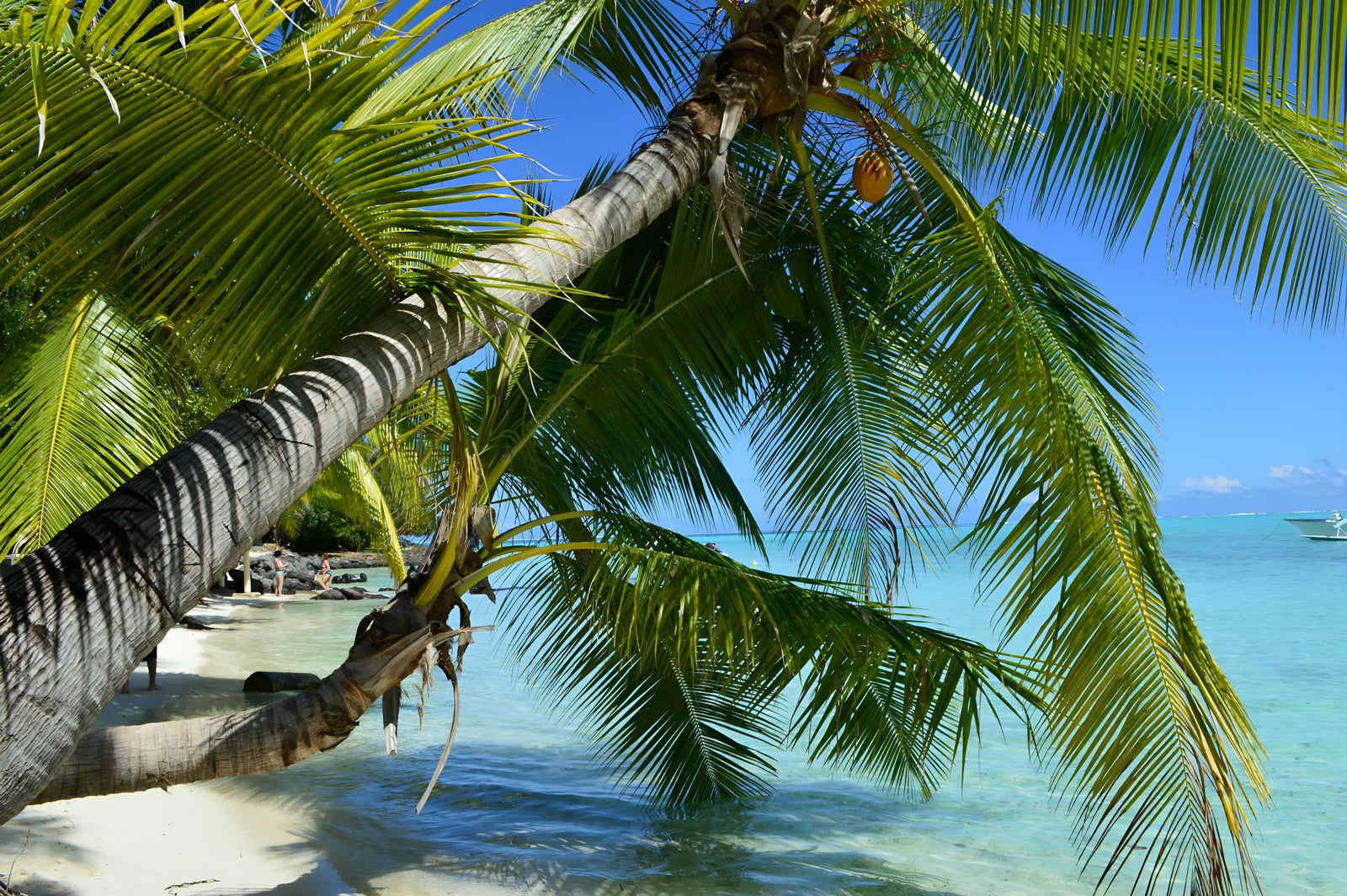 French Polynesia