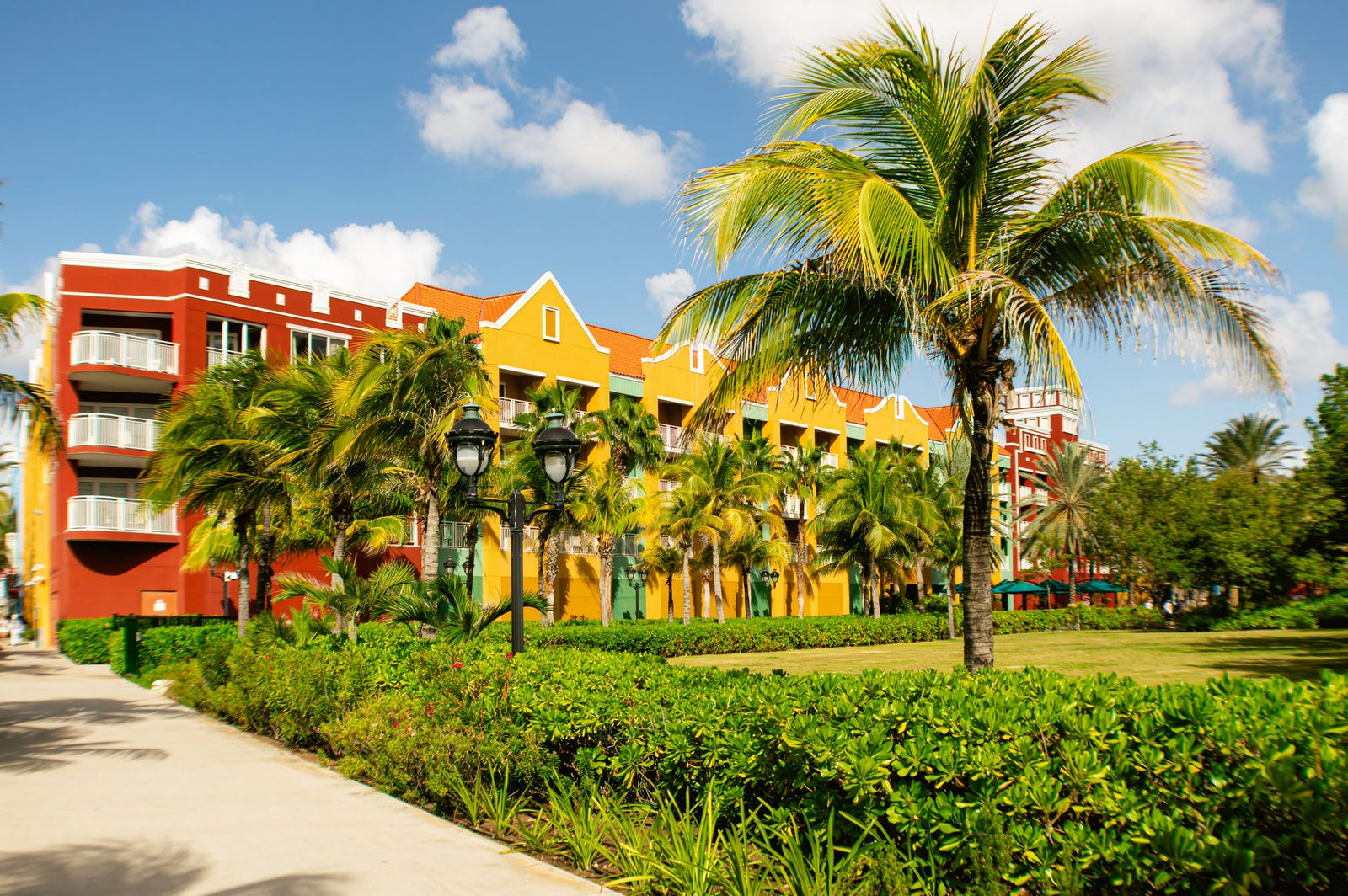 Brightly colored buildings and palm trees in vibrant Willemstad, Curacao.