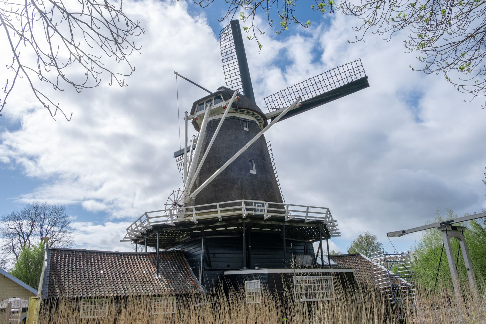 Majestic traditional windmill in a serene rural setting, epitomizing Dutch heritage.