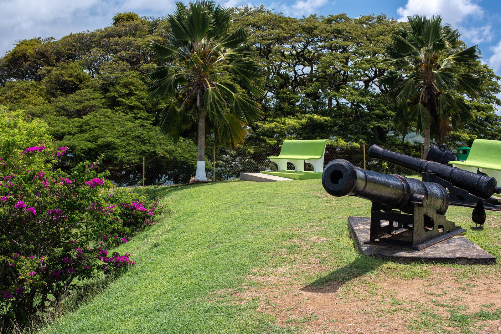 Explore historic cannons surrounded by lush greenery at Fort King George in Tobago.