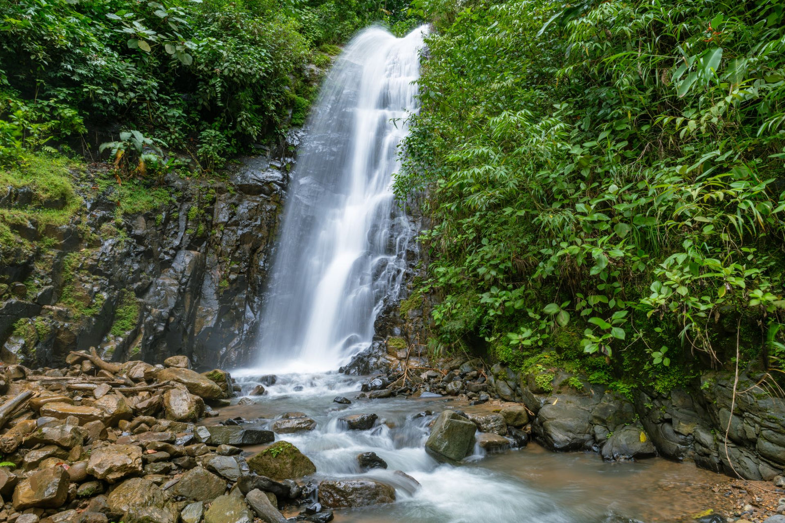 Serene waterfall cascading into rocky pool in Costa Rica's rainforest.