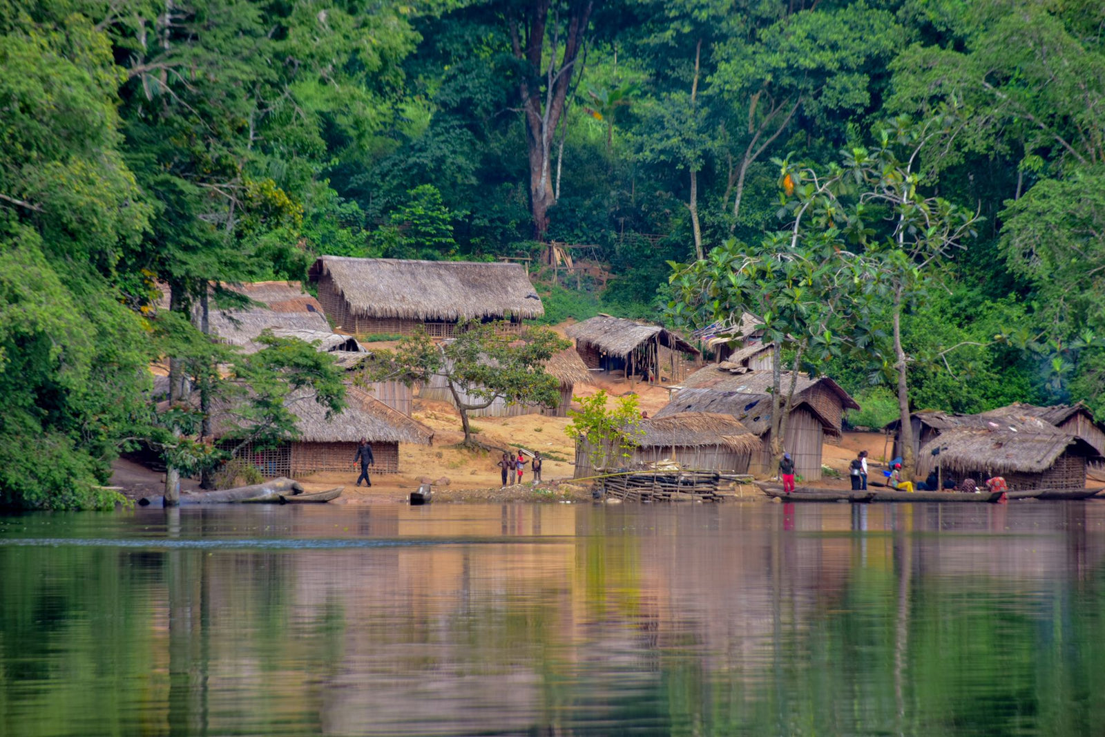 Scenic view of a rural village along a river in the lush Congo rainforest.