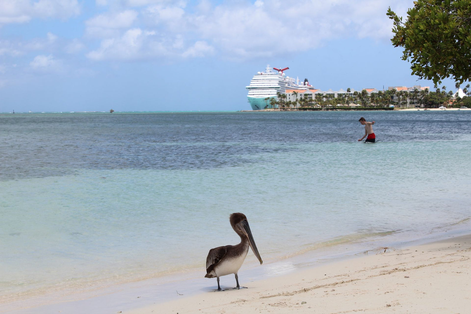 Aruba beach